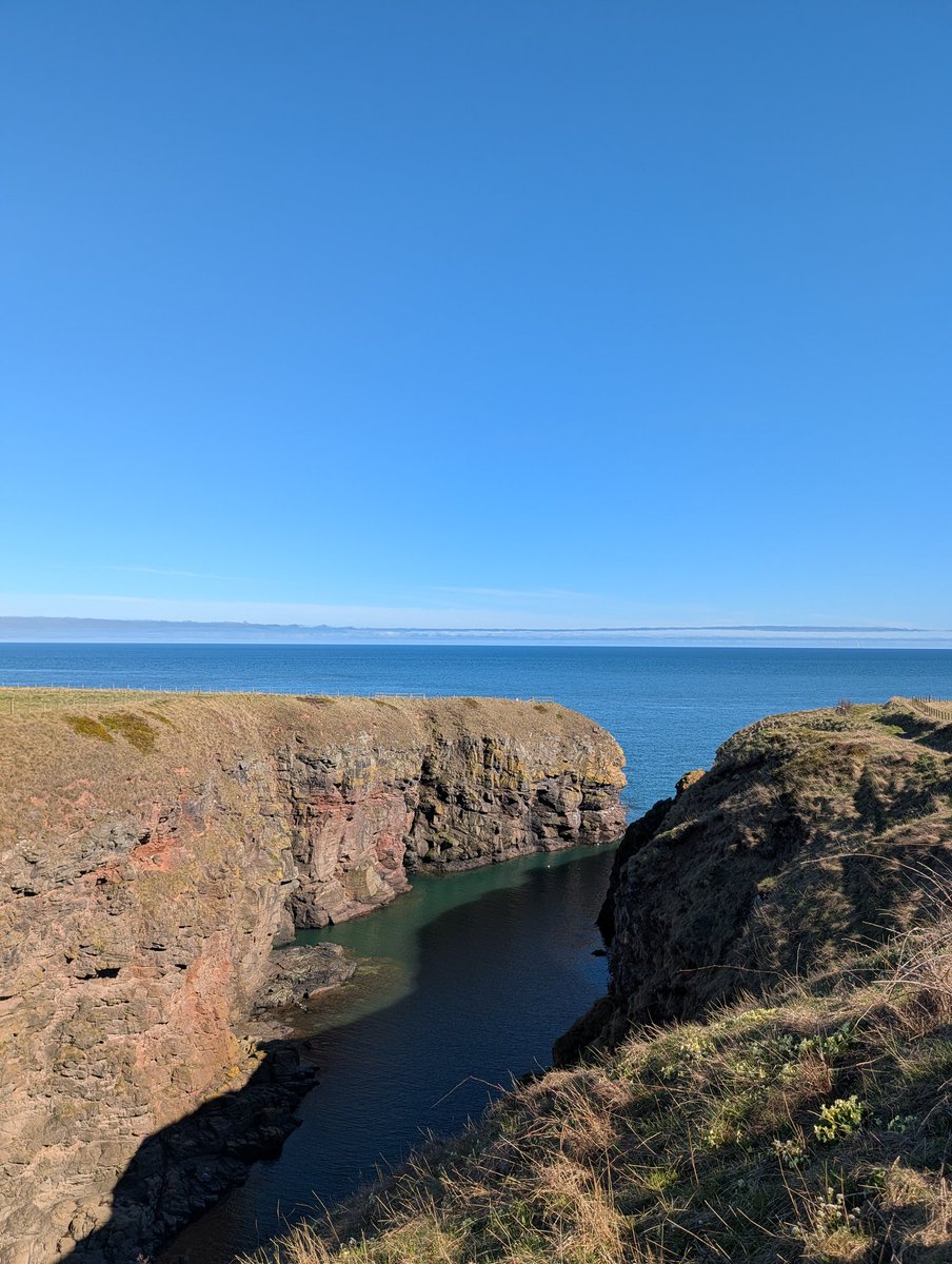 Sandy Thom IG:@suboptimallife tweet media