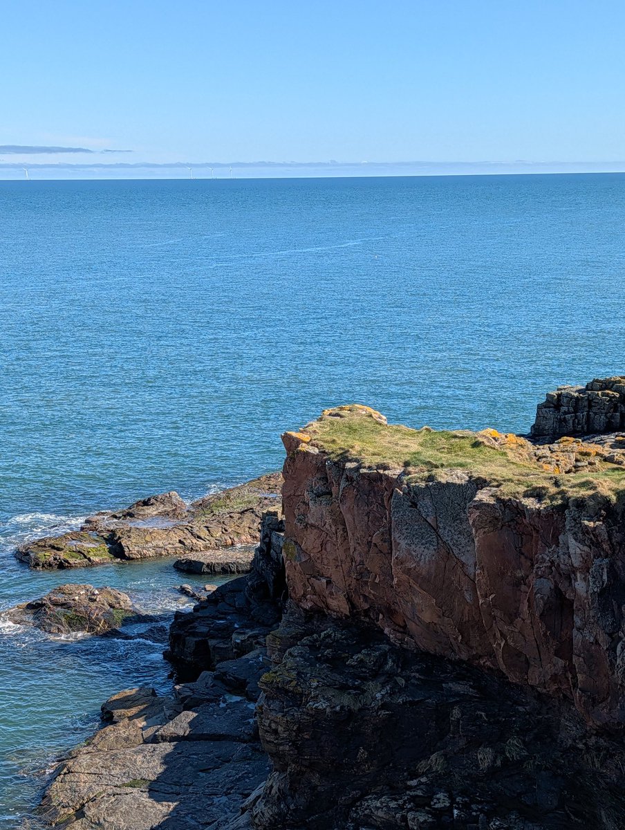 Sandy Thom IG:@suboptimallife tweet media