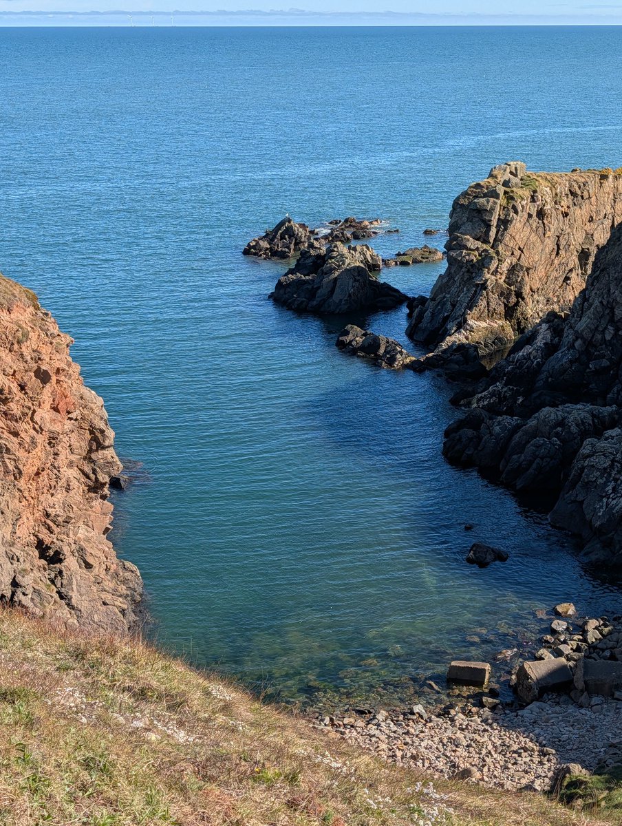 Sandy Thom IG:@suboptimallife tweet media