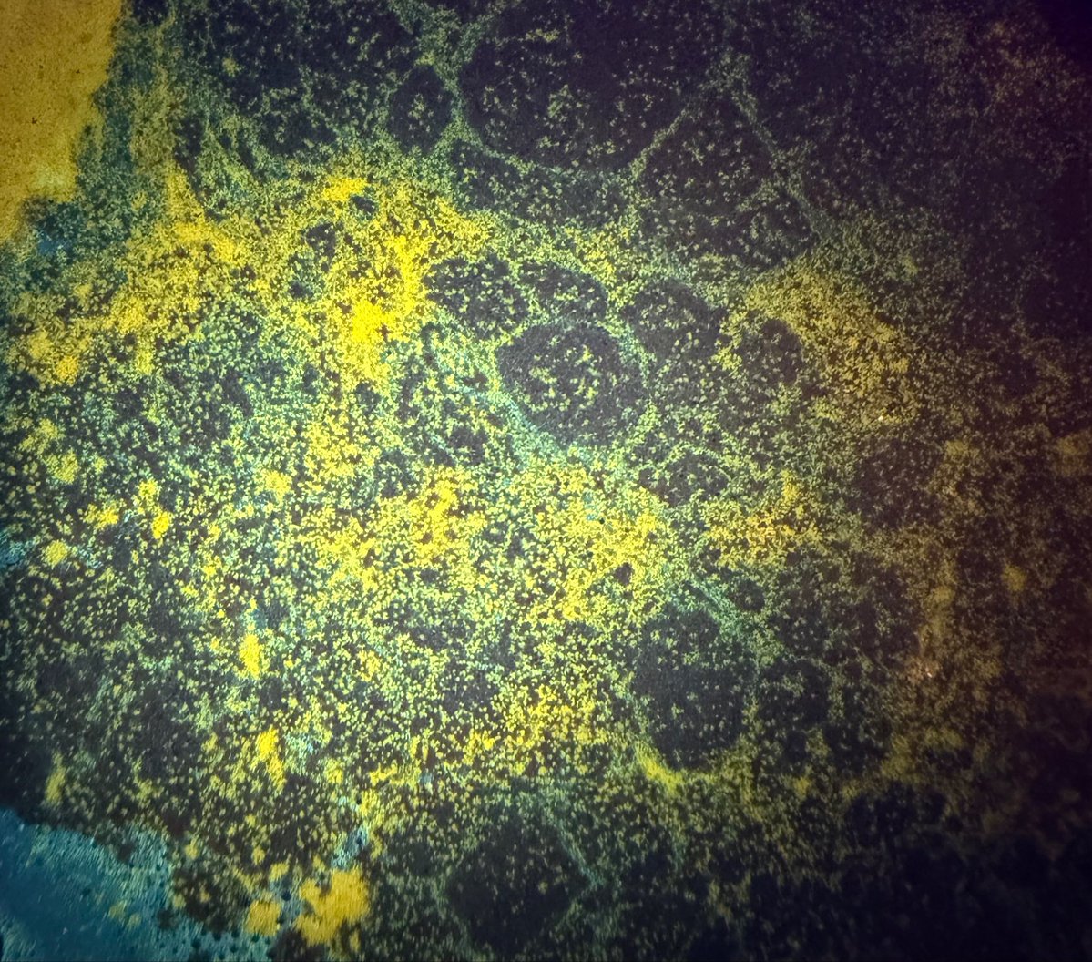 Xeon Xai tweet media