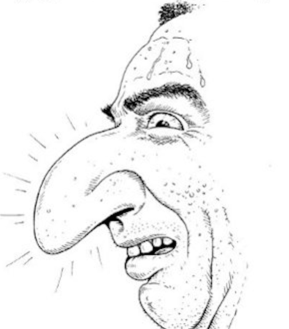 Rami 🦁 tweet media