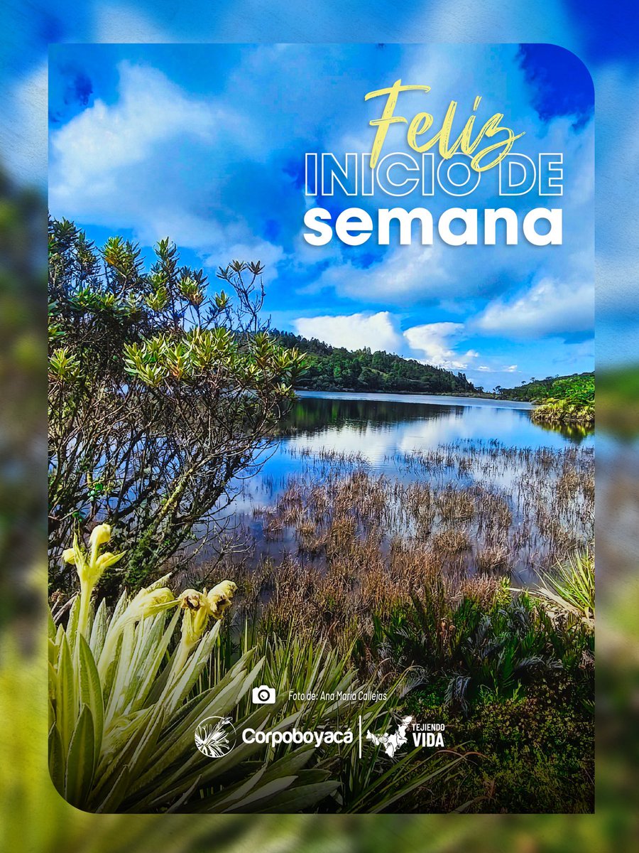 Comenzamos la semana desde el Páramo Rabanal un tesoro de nuestro territorio, donde nace la vida entre nubes y frailejones.

1️⃣ Es una de las principales fábricas de agua de Boyacá, abasteciendo a miles de personas en la región.