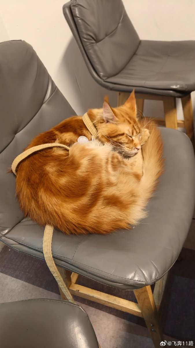 Sandy Charlton tweet media