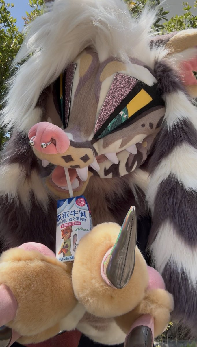 🥩 shuck hyena 🥩 in 🇯🇵 tweet media