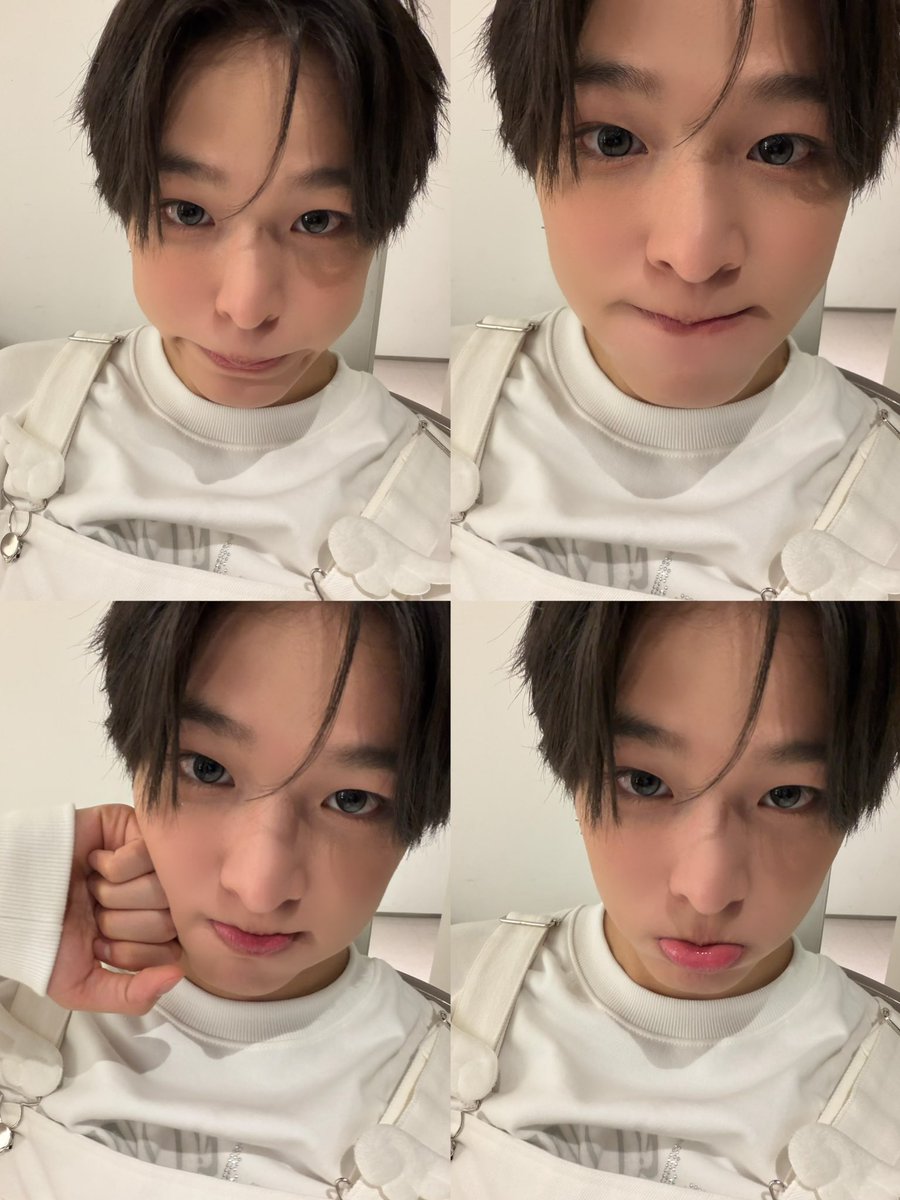 리쿠히메 tweet media