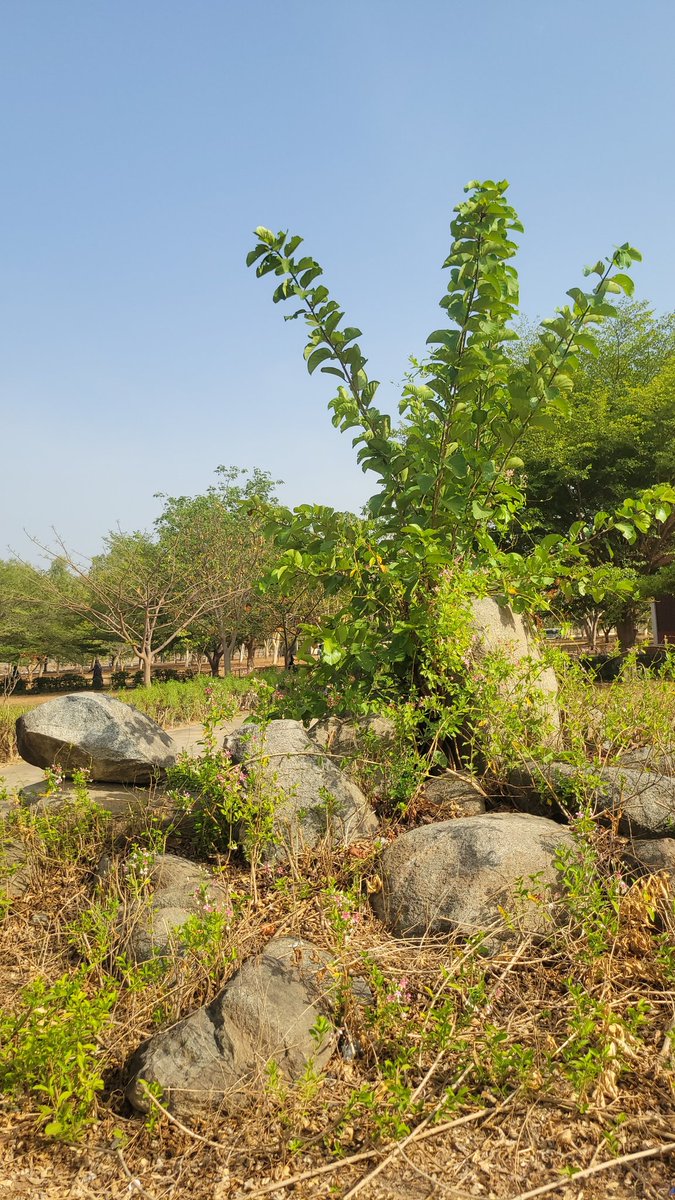 Happy weekday

Don't forget to enjoy nature and touch some grass