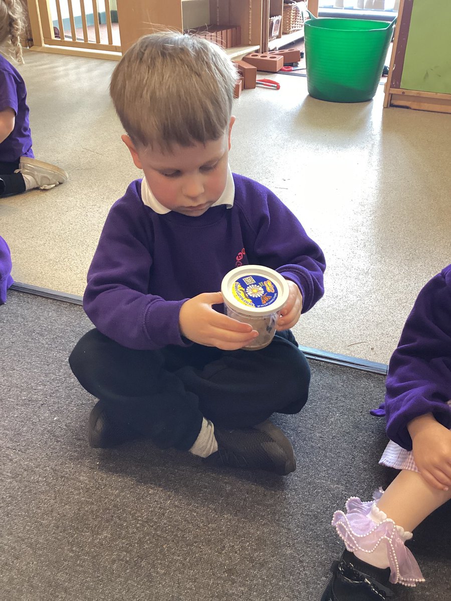 Nursery tweet media