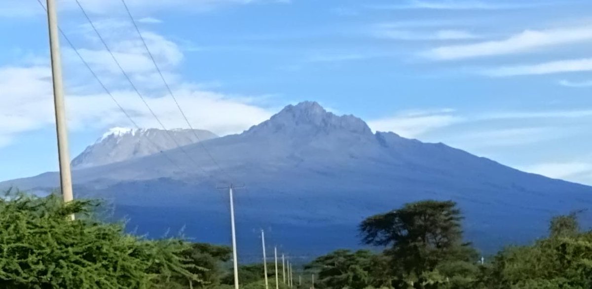 NurseMaximilar tweet media