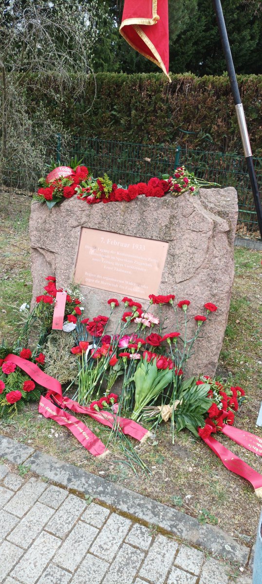 Martin Pecher tweet media