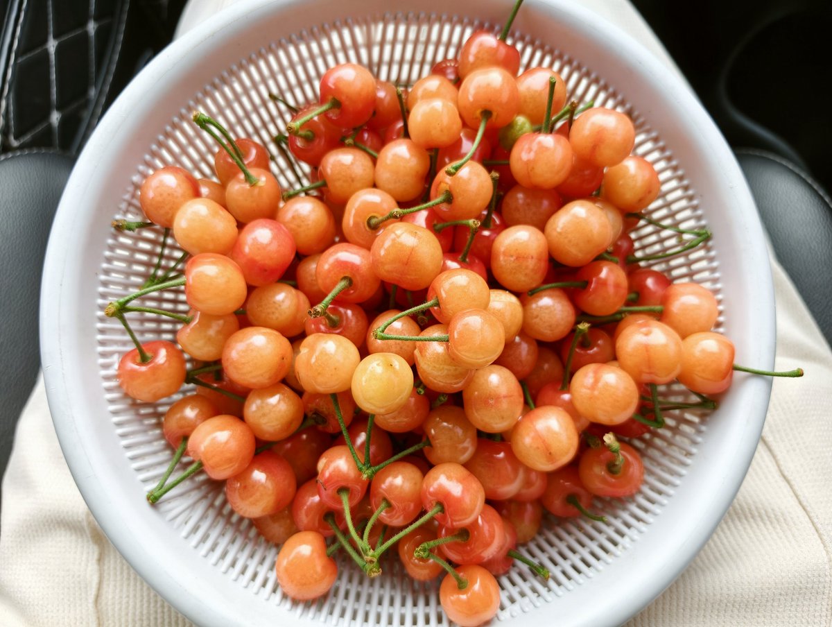 Marryfang 100%fo tweet media