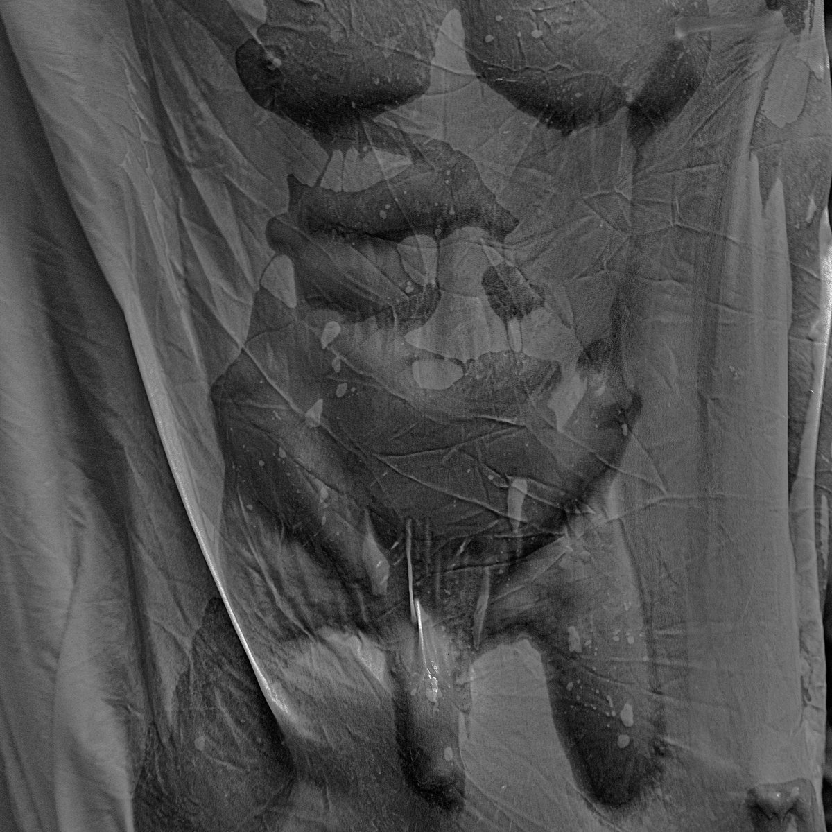 Cassiano SP📍 tweet media