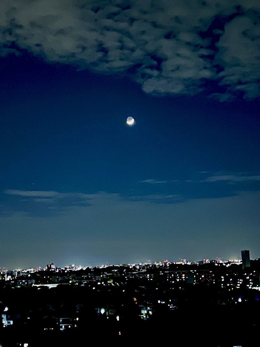 SEXX GEORGE tweet media