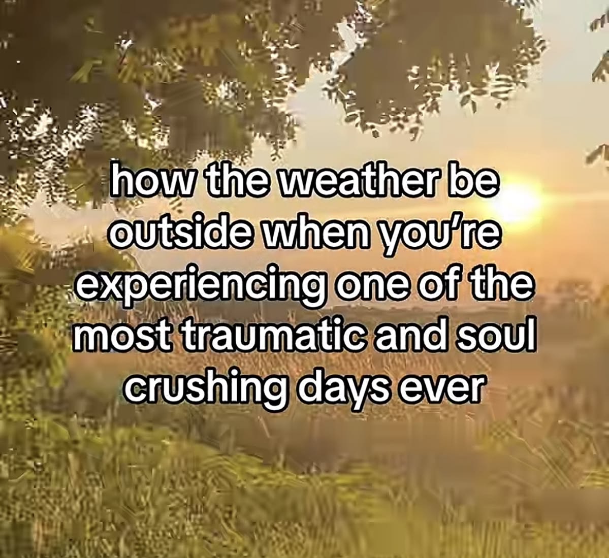 ❀ (@xoxoceles) on Twitter photo 