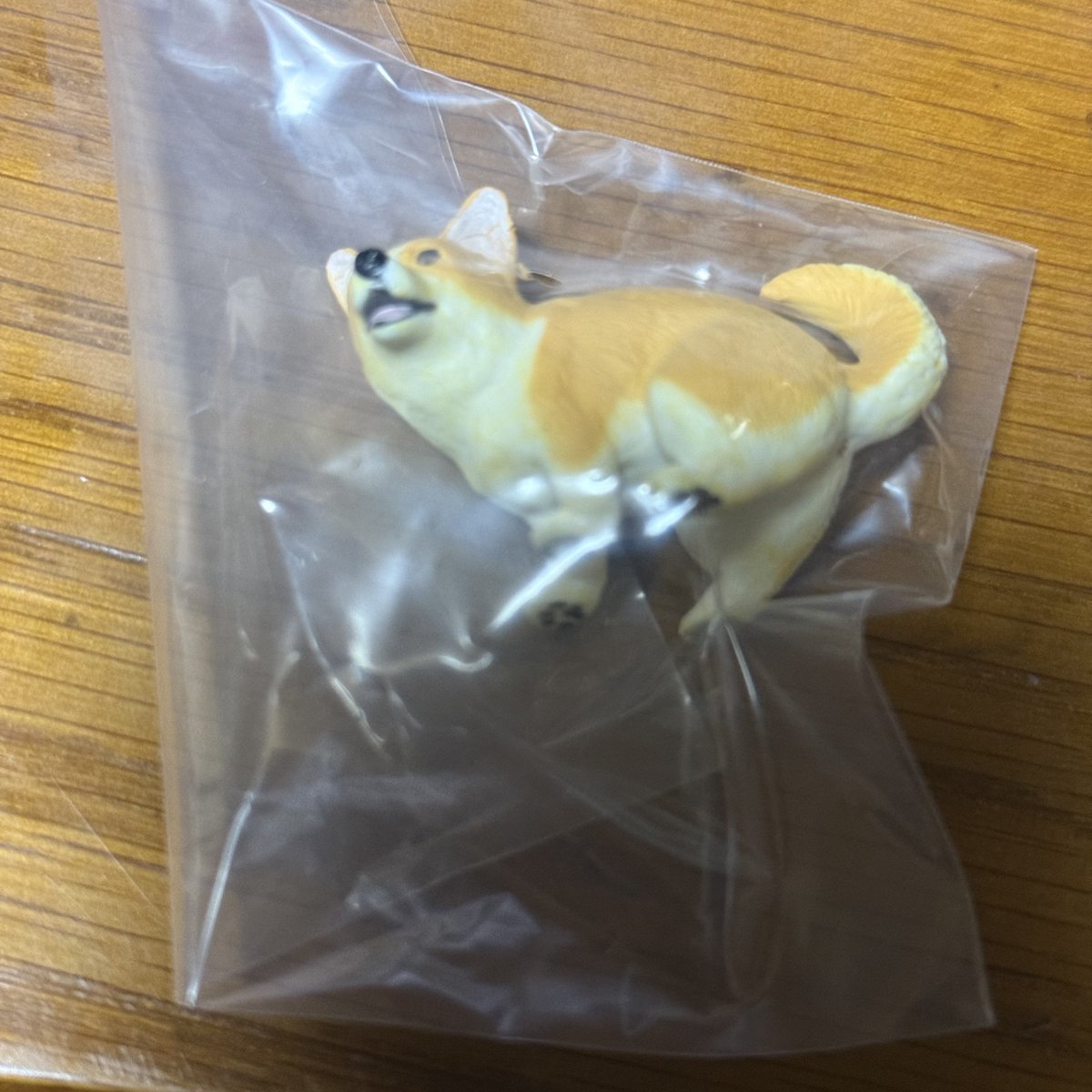 るんるんはぴ◎取引垢 tweet media