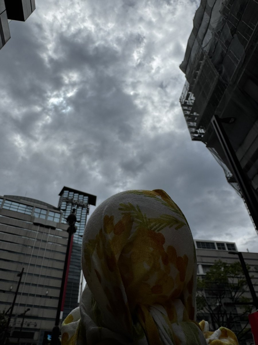 24310's tweet image. 2026/04/20
#triangle #SMAP  
#スマスマ #復興に向けて手を繋ごう 
#lovepocketfund
#世界に一つだけの花  #NoWar          

NO WAR
NO WAR
NO WAR

日曜 福岡 天神 
デモに行った 450人来たって
同じ日の天神のベニバナトチノキ