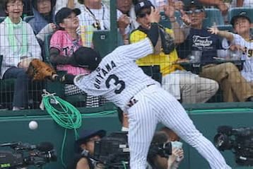 🐯トラリスト🐯 tweet media