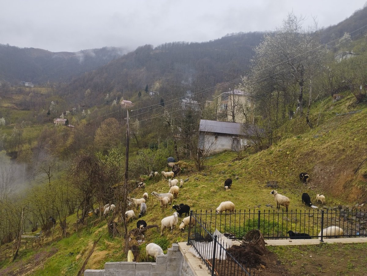 Newkan1041766's tweet image. Haçan geleyurum İstanbul. 

Abrilin 5'i , Furduna burda geçti😃☀

#uşak "Japonya'da 7.4" Kazımcan Mehmet Şimşek Mehmet Metiner  #bist100 Aziz İhsan Aktaş #pazartesi