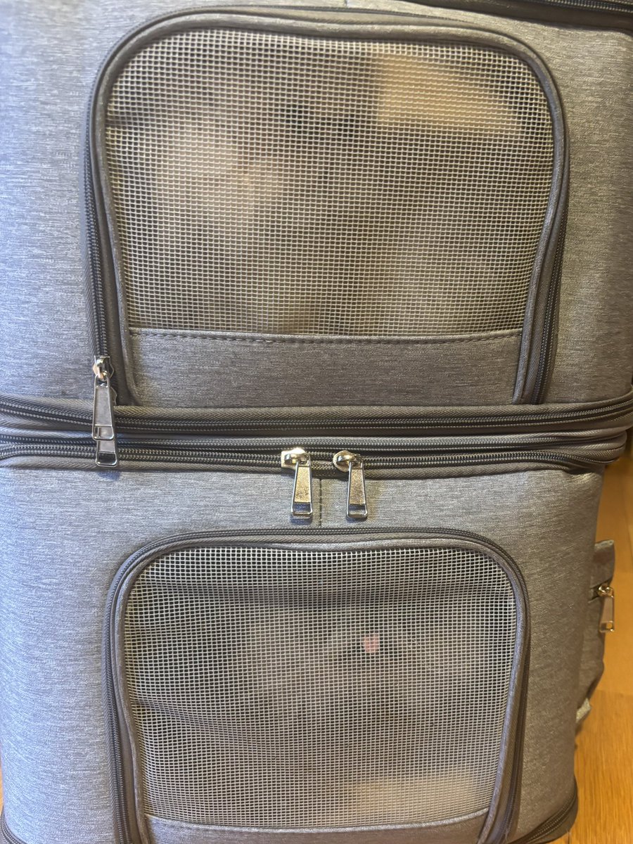 むうとゆぱ tweet media