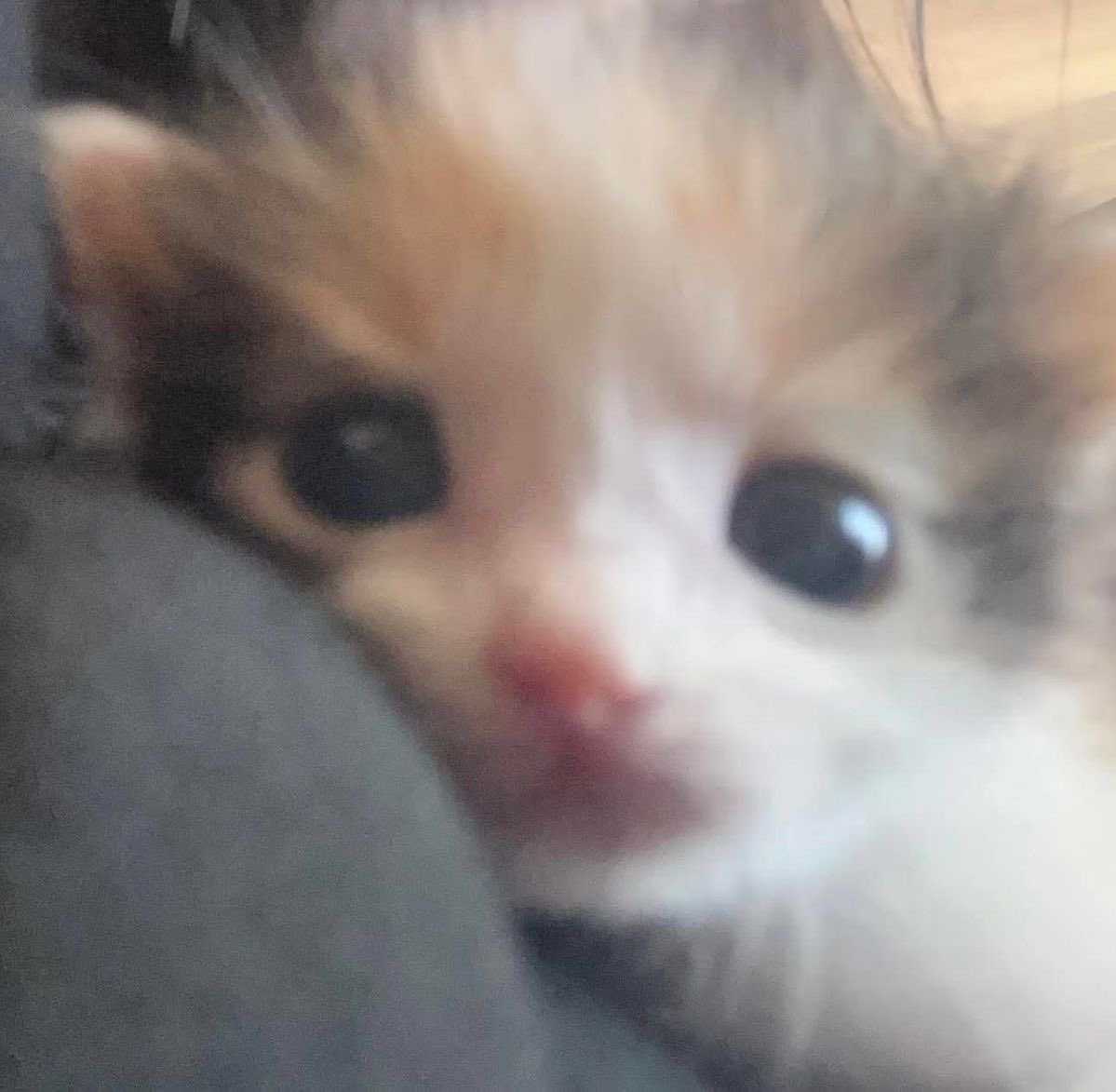 takemybear 🐶 tweet media