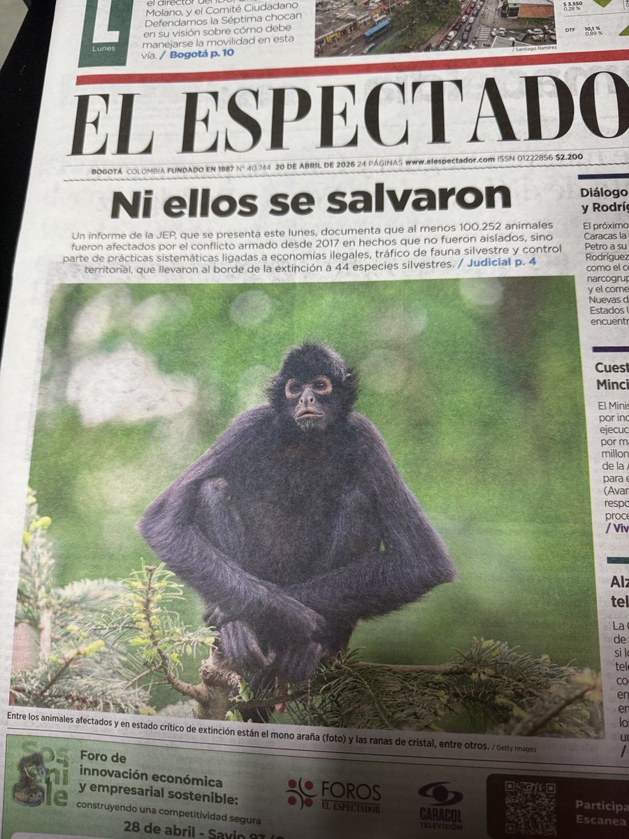 Yanelda Jaimes tweet media