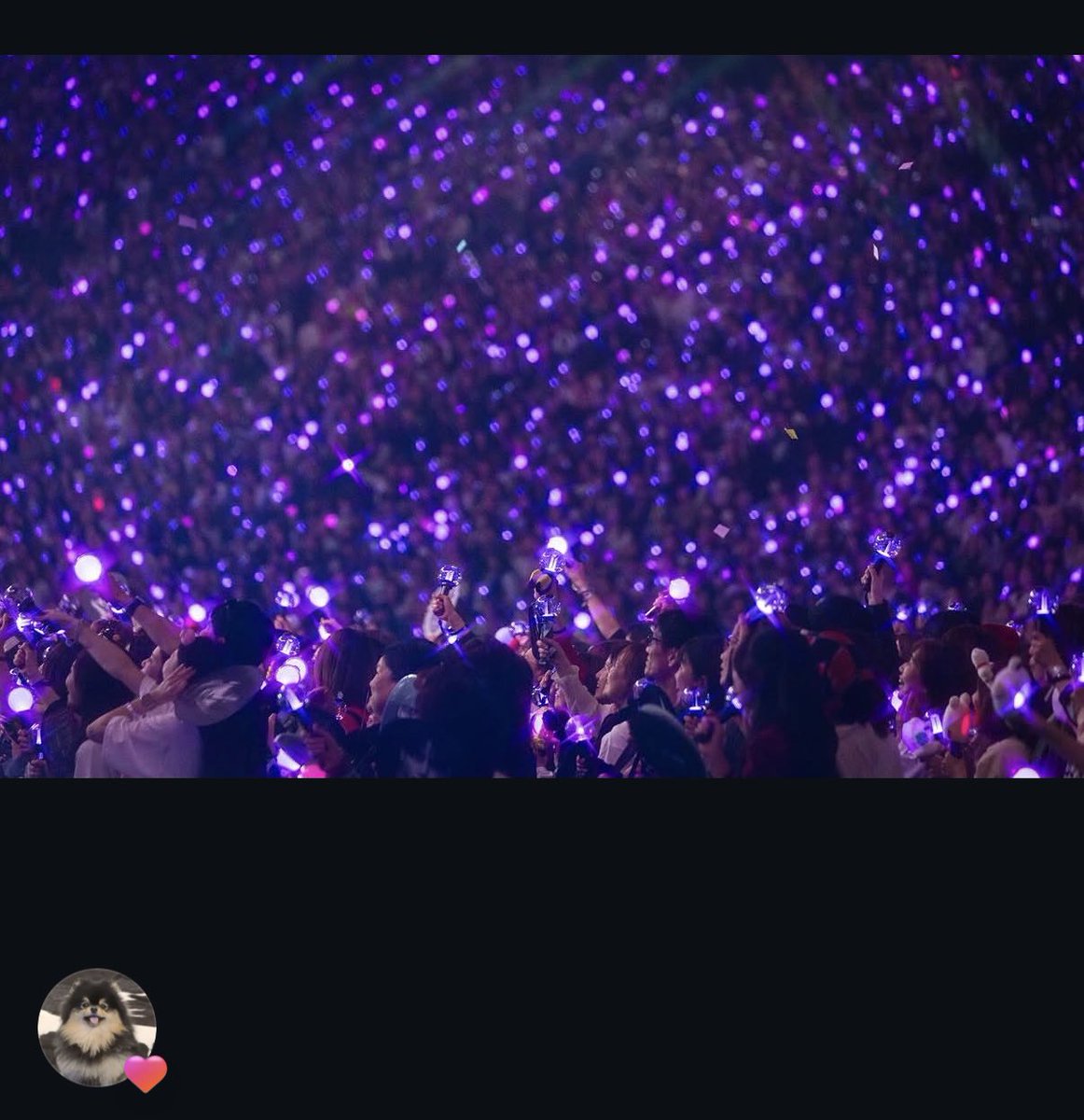 madeev⁷ 2.0 tweet media