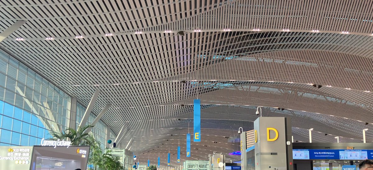 미국 최애를 만나러