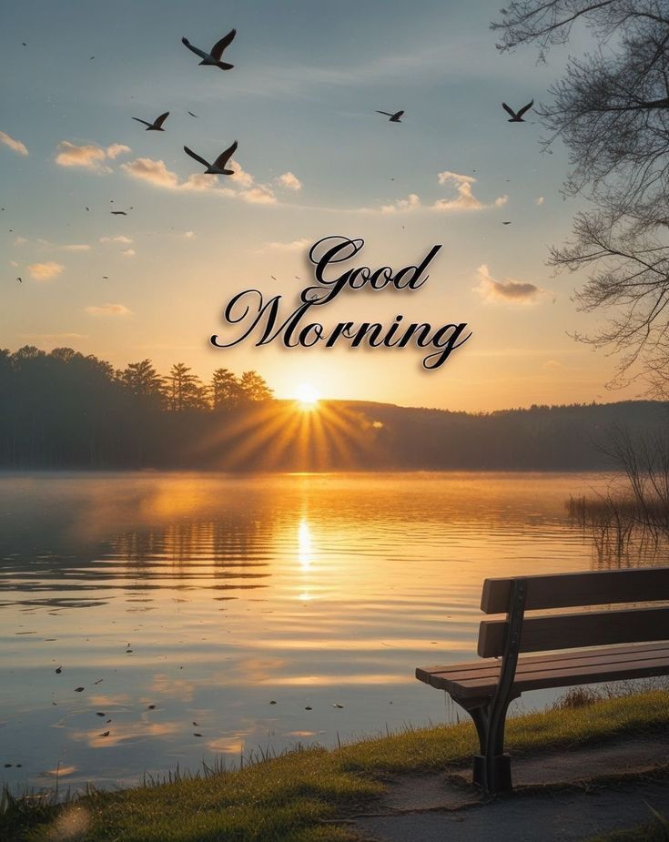 The Honey Badger (Tracy)♒☮🇺🇸 tweet media