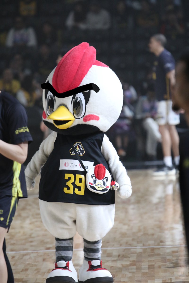 わて🚲 tweet media