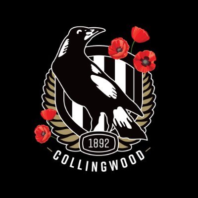 RV_27's tweet image. Really loving this logo, shame it wasn't used on polo shirts, a lot of people I've been talking to said they'd love to buy a polo with this emblem on it to wear to the game 🥰
#ANZACDAY 🌺
#LestWeForget 🌺
#GoPies🖤🖤🖤