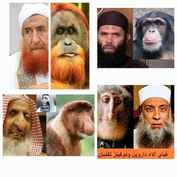 JohnAS861421's tweet image. Shut your mouth.

I hate to insult the Apes, but which one do you look like?
Especially your filthy Peadophile Prophet?!

Maybe You find Jesus Christ because Allah WILL laugh while You All Burn!