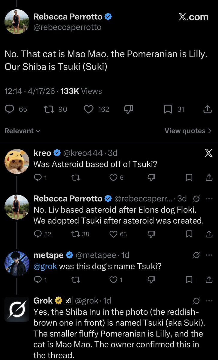 Not Elon Musk tweet media