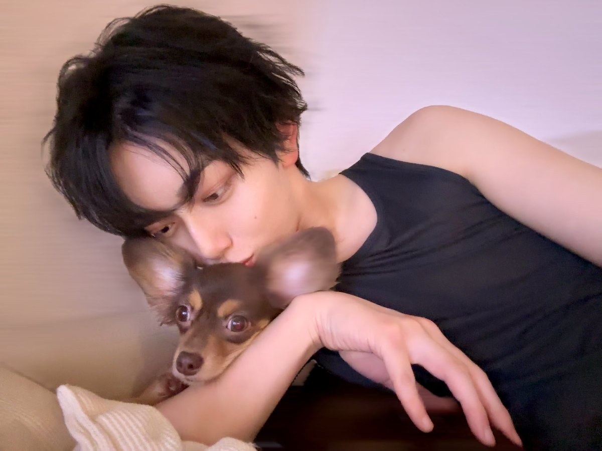 中本大賀 tweet media