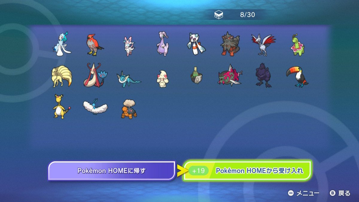 マルメロ/大野紫咲 tweet media