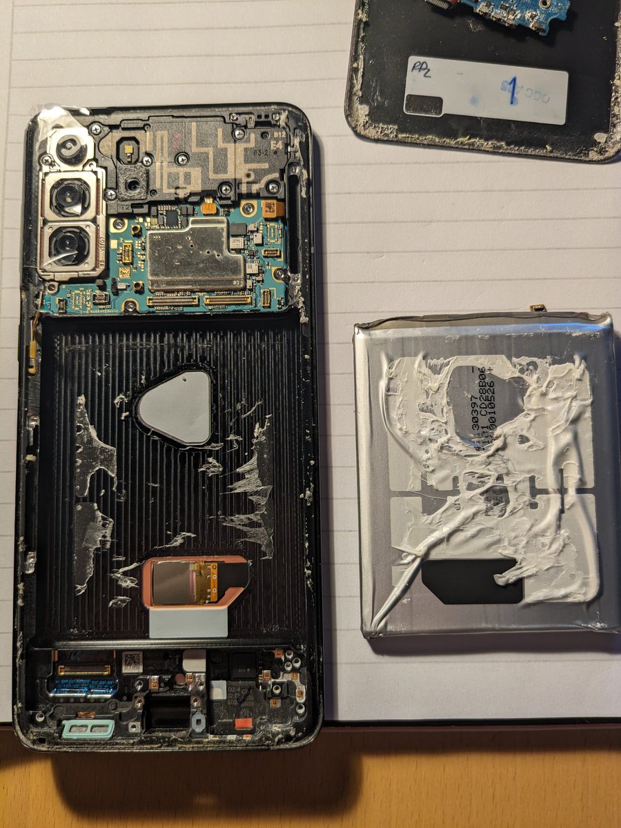 gena gena gena tweet media