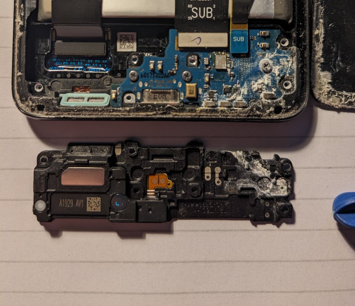 gena gena gena tweet media