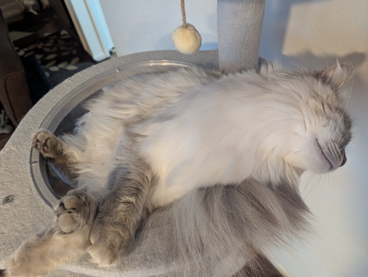 iMSさん tweet media