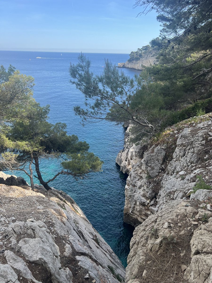 MMA TIME tweet media