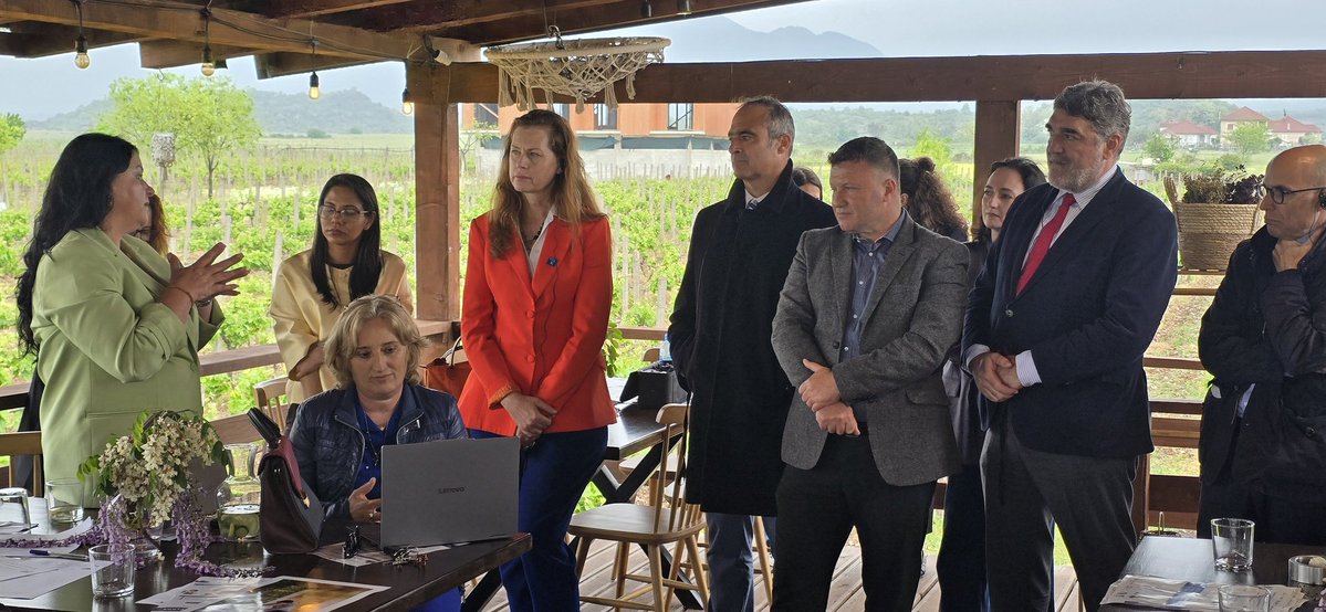 United Nations in Albania tweet media