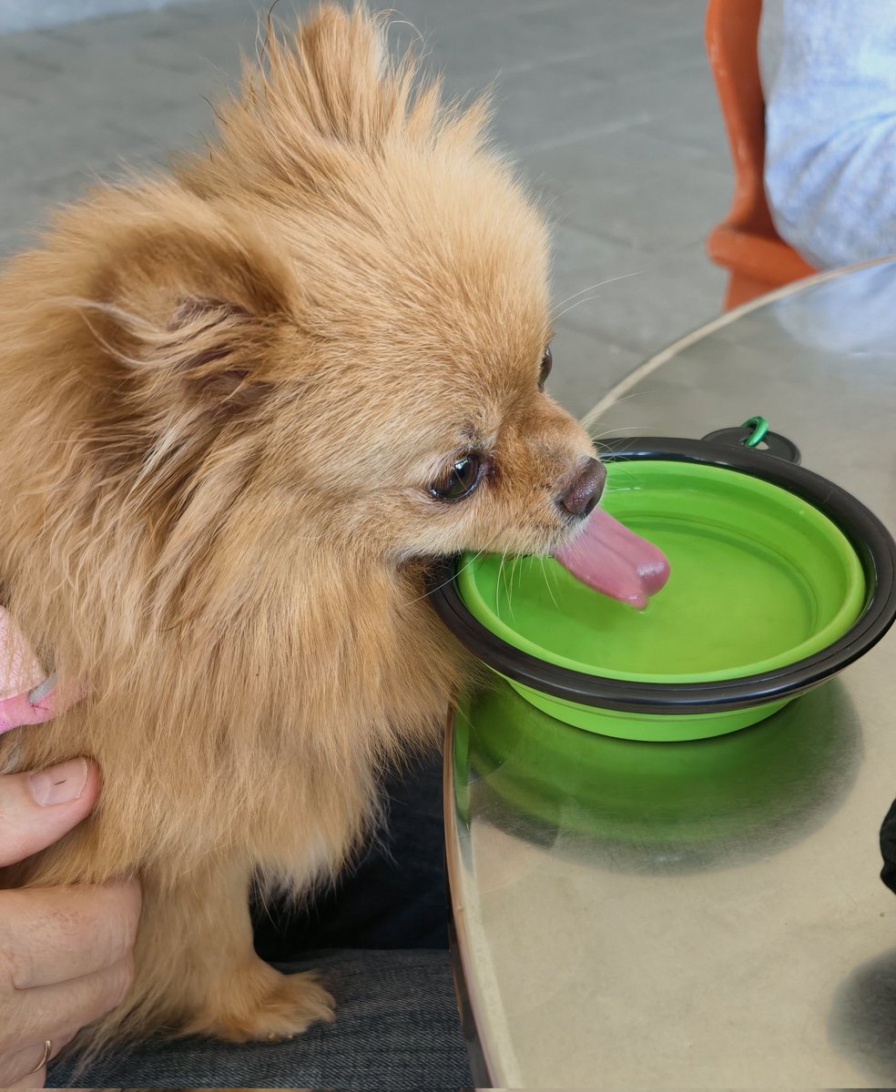 Verónica Hope | 𝑨𝒓𝒕𝒊𝒔𝒕 tweet media