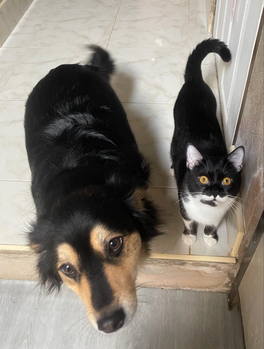 ☃️Nooniiz•ヌン•눈❄️ tweet media