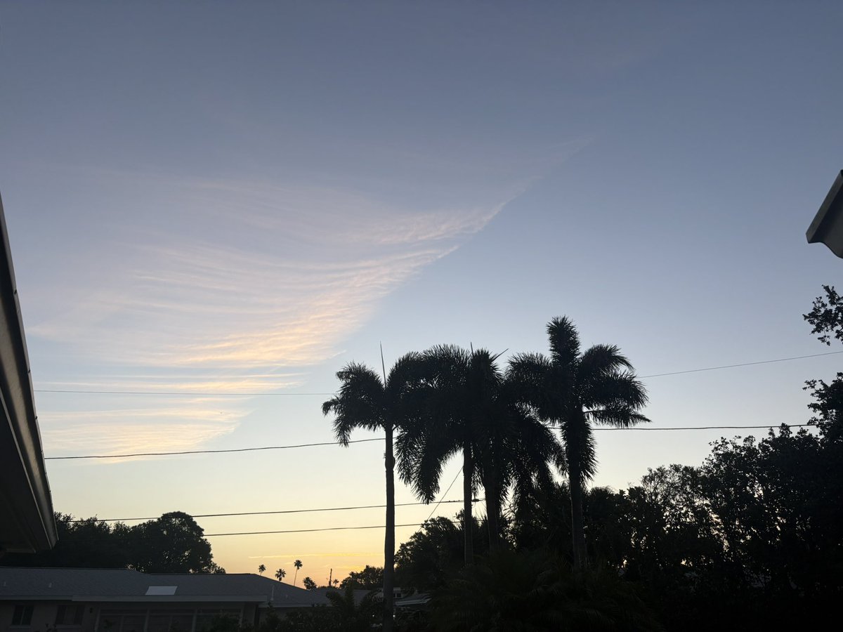 Diane Bee tweet media