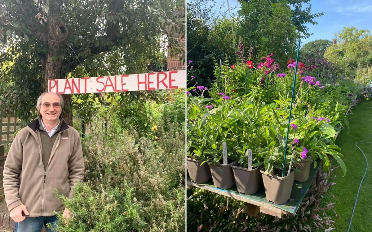 tootingnewsie's tweet image. SAVE THE DATE for a Charity Plant Sale in #Tooting! Local resident &amp;amp; 5-time Chelsea Flower Show award-winner Anthony de Grey is once more opening up his garden Thursday 14 – Saturday 16 May to fundraise for @BRUKresearch. 

More info: tootingnewsie.co.uk/p/annual-chari…

#Balham