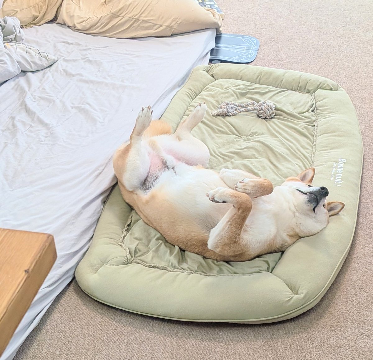 榎本啄杜 tweet media