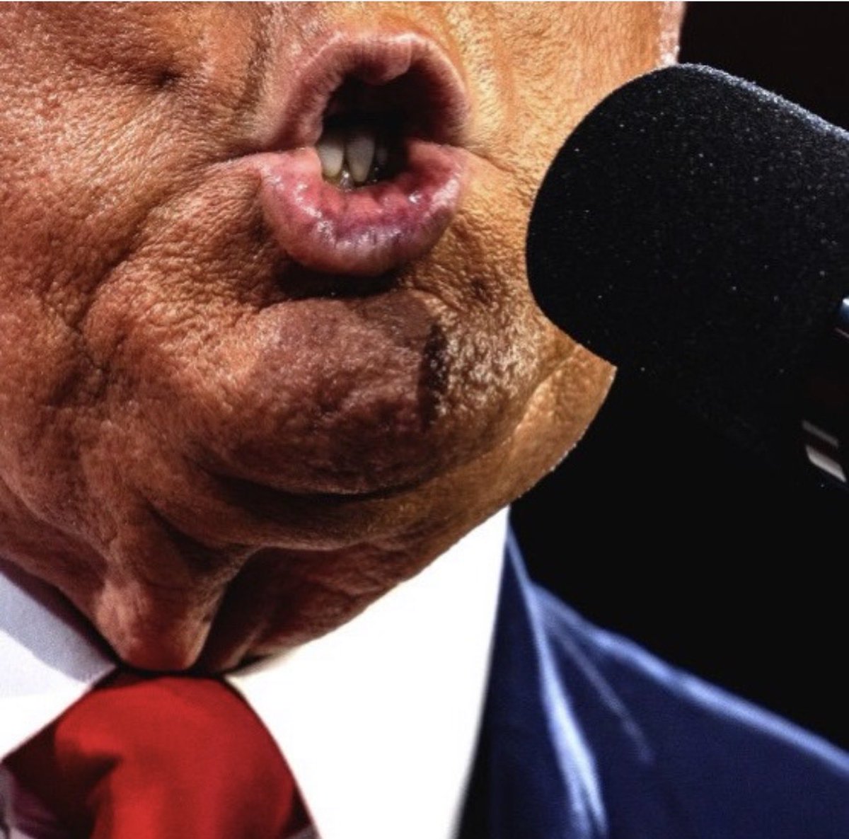 Ilyas el maliki tweet media