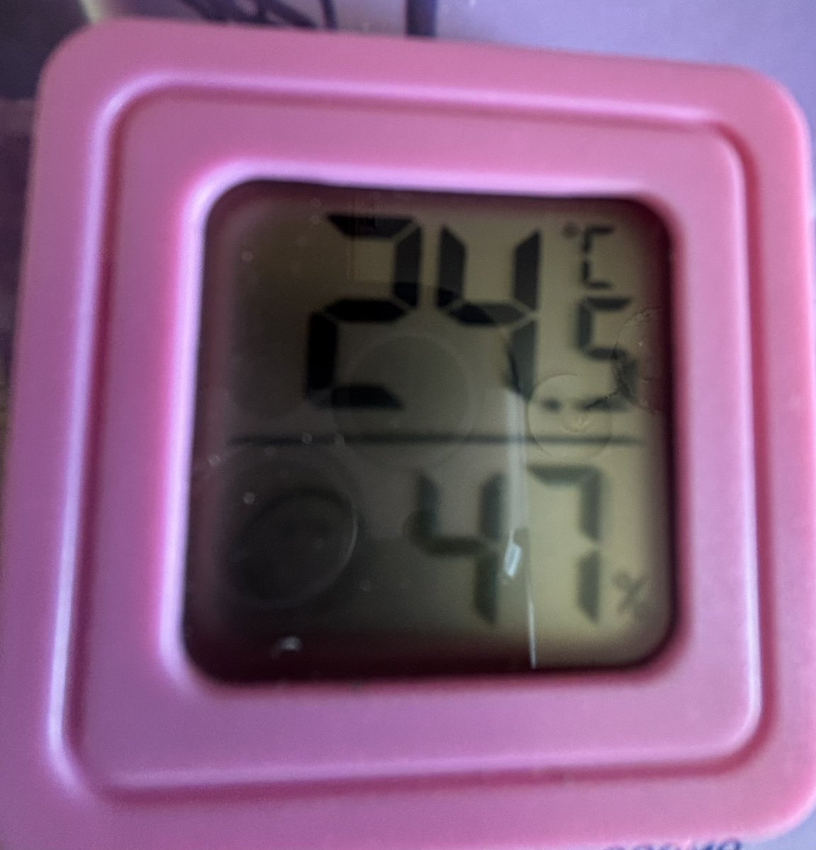 Το παντατίφ 🐜🐜 tweet media