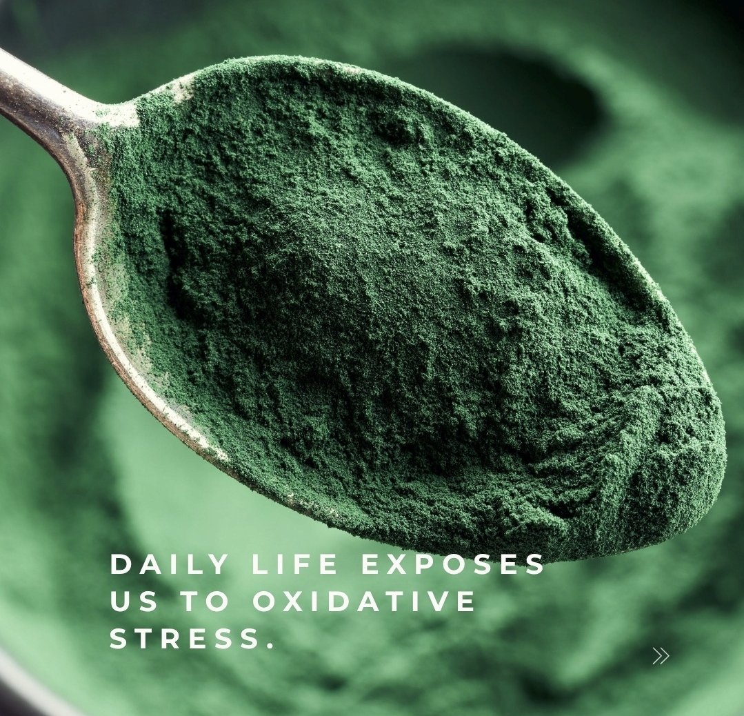 WissamChak97312's tweet image. #SPIRULINA