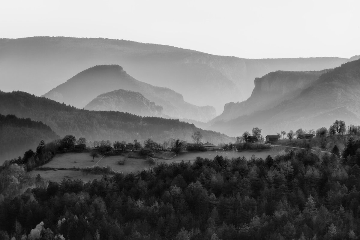 Yavuz Sariyildiz.eth/.sol tweet media