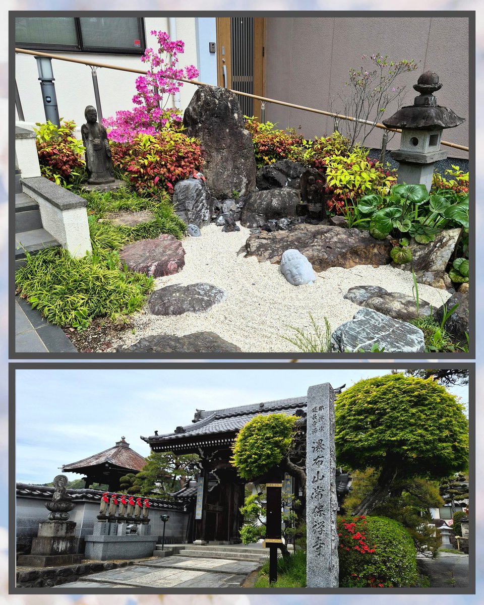 18日、青梅の2社目は
午後から対応の常保寺へ……

※プードルの御朱印(お任せ御朱印)
※御釈迦様誕生日御朱印
※見開き２面の御朱印
を拝受しました

可愛いプードル💖

御釈迦様の誕生日御朱印は挟み紙も御釈迦様、並べて撮ったら一体化して良い感じに😃✌

２面の御朱印は春爛漫🌸