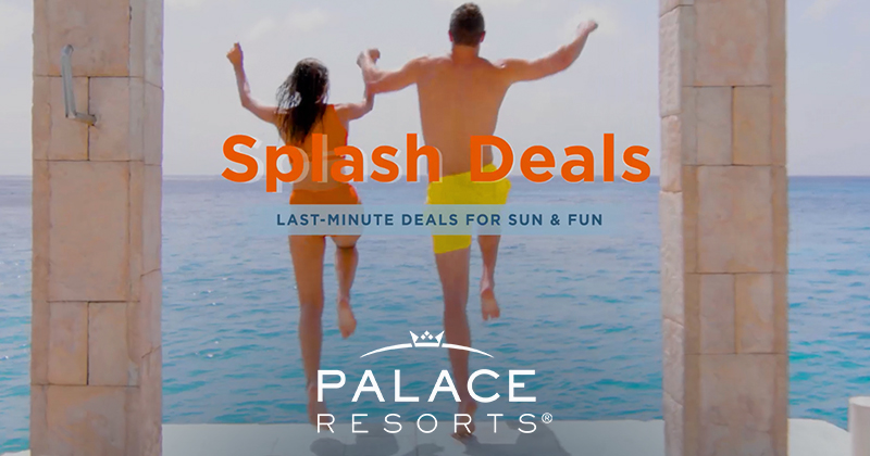 tropicalitytips's tweet image. Enjoy a $500 resort credit, airport transfers, kids &amp;amp; teens stay free and more at Palace Resorts. ☀️🌊
Learn more: tinyurl.com/paloffrs
#vacation #vacations #allinclusive #familyfun