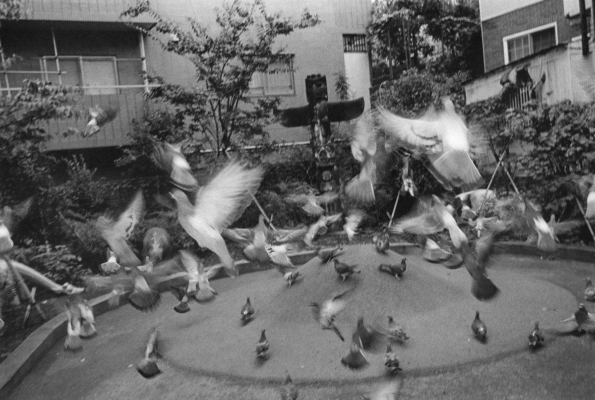 マット・ウォング写真展
「タイムマシン ランダム」
開催中〜5月3日(日)迄
13:00-20:00 会期中無休

是非ご高覧くださいませ。

Matt Wong photo exhibition
[ Time Machine Random ]
Until May. 3rd (Sun)
1pm-8pm
Open everyday during the exhibition.